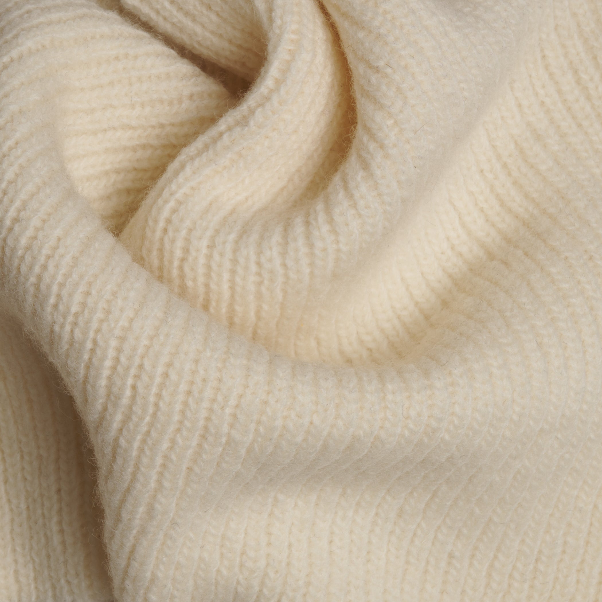 48 ELLIS SWEATSHIRT / CHUNKY RIB JERSEY - C13