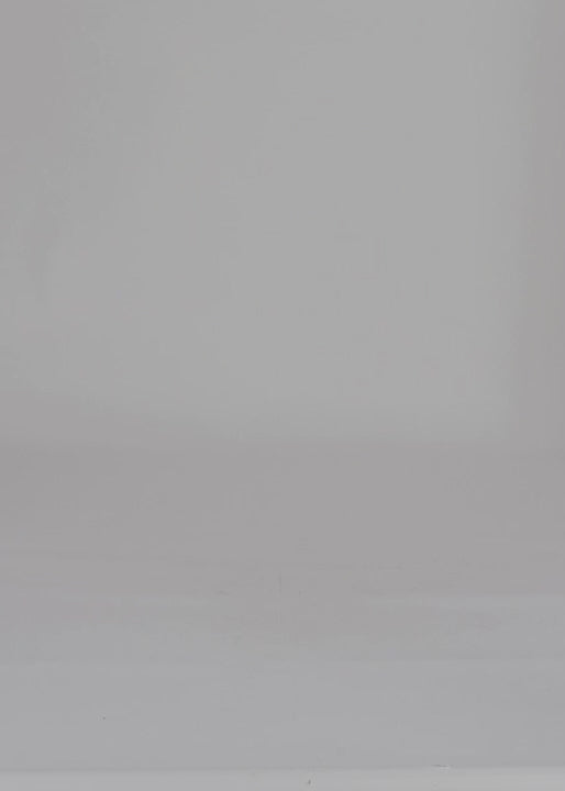 58 NATASHA SHORTS / VEGAN SUEDE - C14