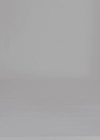 58 NATASHA SHORTS / VEGAN SUEDE - C14