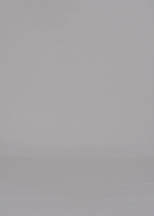 60 DELTA T SHIRT / ECO VISCOSE JERSEY - C14