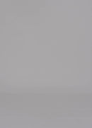 60 DELTA T SHIRT / ECO VISCOSE JERSEY - C14