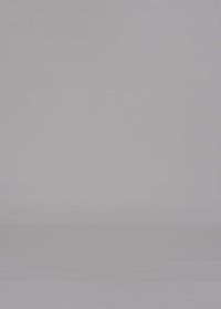 60 DELTA T SHIRT / ECO VISCOSE JERSEY - C14