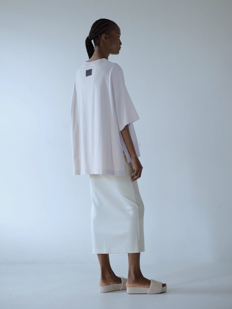 DELTA T-SHIRT / ORGANIC COTTON HIGH GAUGE JERSEY - C6 (7496058634464)